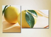 Картина ArtPoster Two lemons 01 (2602791)