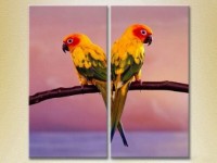 Pictură ArtPoster Two parrots (2603022)