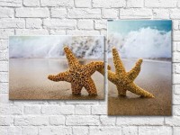 Pictură ArtPoster Two starfish in the sand (3453834) imaginea #2 — magazin online Desire.md