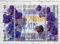 Картина Magic Color Branches of Lilac orchid on a plank background (3565155)