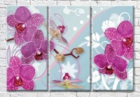 Картина Magic Color Purple orchid and buds on a Blue background (3565139)