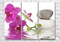 Картина Magic Color Purple orchid branch and stones by the water (500209)
