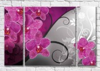 Картина Magic Color Purple orchid on a Gray background with White patterns (3565179)
