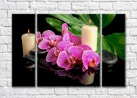Картина Magic Color A branch of a variegated orchid and burning candles (500191)
