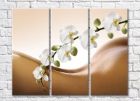 Картина Magic Color A branch of a White orchid over the bend of a female body (500179)