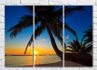 Картина Magic Color Big palm tree on the beach during sunset (3469129)
