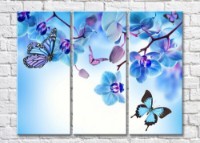 Картина Magic Color Blue orchid branches and butterflies (500218)