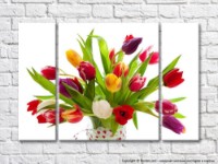 Картина Magic Color Bouquet of Colorful tulips in a vase (500129)