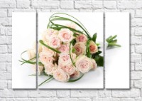 Картина Magic Color Bouquet of Cream roses on a White background (500122)