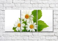 Картина Magic Color Bouquet of daisies with large leaves (500165)