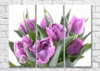 Картина Magic Color Bouquet of Lilac tulips (500158)