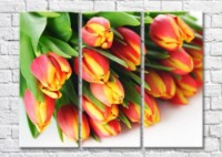 Картина Magic Color Bouquet of motley Yellow/Orange tulips (500126)