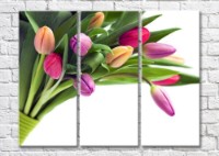 Картина Magic Color Bouquet of Multicolored tulips with unopened flowers (500148)