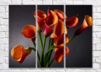 Картина Magic Color Bouquet of Orange calla lilies on a Dark/Gray background (500124)