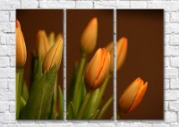 Картина Magic Color Bouquet of Orange tulips on a Dark background (500147)