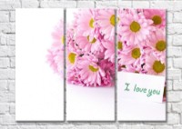 Картина Magic Color Bouquet of Pink daisies with a message (500134)