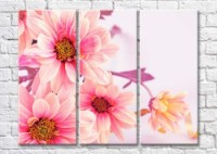 Картина Magic Color Bouquet of Pink flowers on a White background (500135)