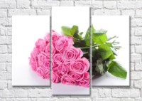 Картина Magic Color Bouquet of Pink roses on a White background (500152)