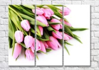 Картина Magic Color Bouquet of Pink tulips on a White background (500155)