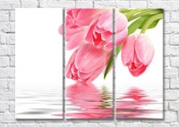 Картина Magic Color Bouquet of Pink tulips over water (500156)