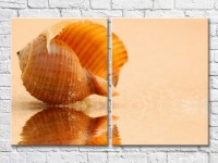 Картина ArtPoster Big seashell by the sea (3453717)