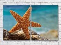 Pictură ArtPoster Big starfish on a Blue background (3453743)
