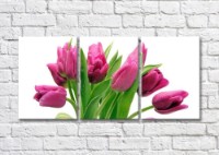 Картина Magic Color Bouquet of Pink tulips with dew drops (500154)