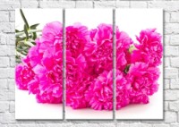 Картина Magic Color Bouquet of Purple carnations (500139)