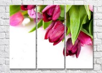 Картина Magic Color Bouquet of purple tulips on a White background (3448878)