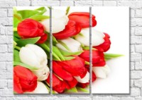 Картина Magic Color Bouquet of Red and White tulips (500119)