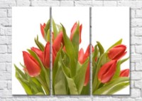 Картина Magic Color Bouquet of Red tulips (500121)