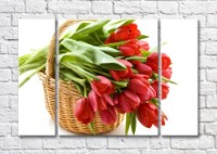 Картина Magic Color Bouquet of Red tulips in a basket (500143)