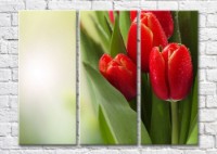 Картина Magic Color Bouquet of Red tulips with dew drops (500144)