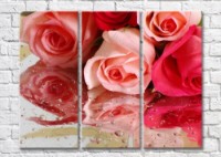 Картина Magic Color Bouquet of roses and water droplets (500149)