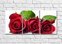 Картина Magic Color Bouquet of three Red roses (500137)
