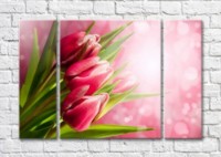 Картина Magic Color Bouquet of tulips on a Pink background (500160)
