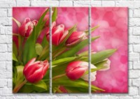 Картина Magic Color Bouquet of tulips on a Pink background with hearts (500159)