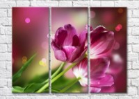 Картина Magic Color Bouquet of tulips on a Purple background (500162)