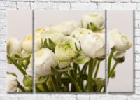 Картина Magic Color Bouquet of White peonies (3572554)