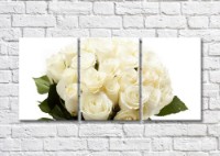 Картина Magic Color Bouquet of White roses on a White background (500108)