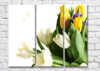 Картина Magic Color Bouquet of Yellow and White tulips (500140)