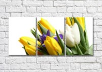 Картина Magic Color Bouquet of Yellow and White tulips and Lilac iris (500114)
