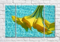 Картина Magic Color Bouquet of Yellow calla lilies on the Turquoise water of the pool (500109)