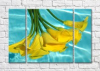 Картина Magic Color Bouquet of Yellow calla lilies on Turquoise water background (500110)