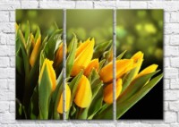 Картина Magic Color Bouquet of Yellow tulips on a Dark/Green background (500117)