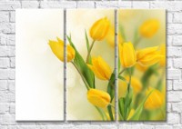 Картина Magic Color Bouquet of Yellow tulips on a Light background (500111)