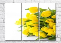Картина Magic Color Bouquet of Yellow tulips on a Light background (500116)
