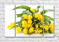 Картина Magic Color Bouquet of Yellow tulips on a White background (500115)