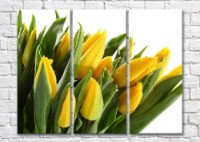 Картина Magic Color Bouquet of Yellow tulips with dew drops (500118)
