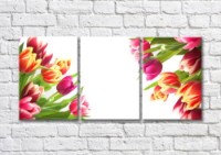 Картина Magic Color Bouquets of Multicolored tulips on a White background (500166)